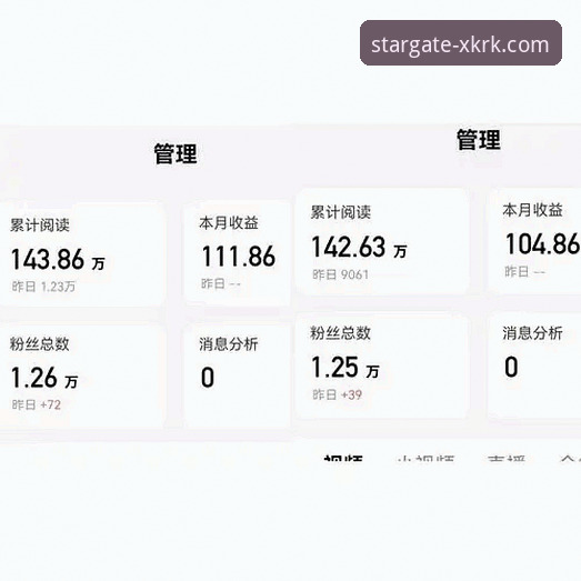 资深用户分享：星空入口平台实战体验与用户评价对比分析
