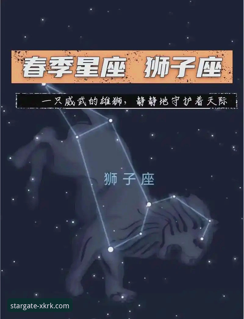 星空入口版本更新2026最新版本 星空入口平台2026最新版本升级与安全配置完全指南