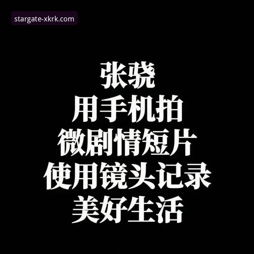 星空入口下载全流程深度解析：官网注册与安卓版安装指南